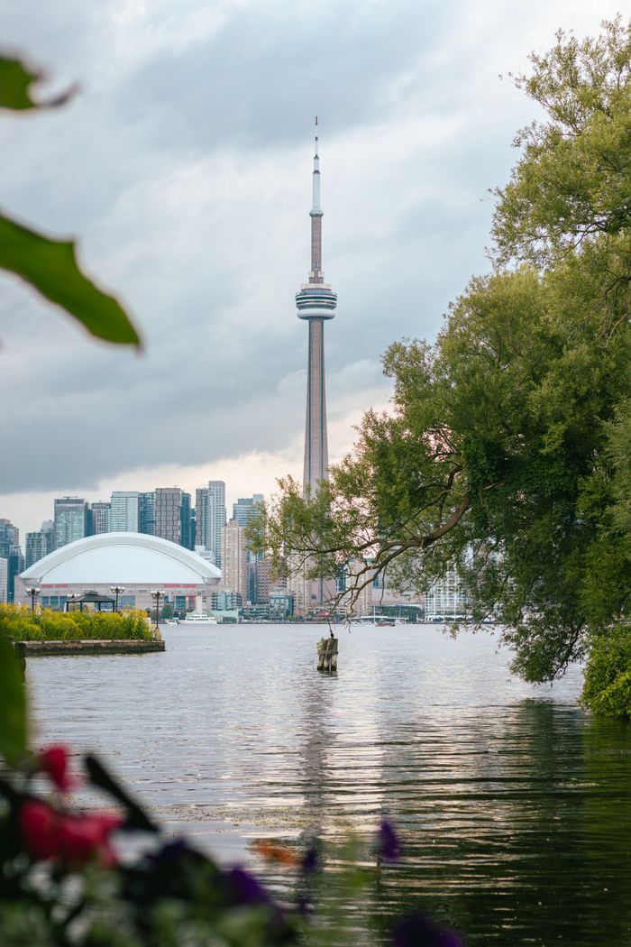 Scenic view of Toronto's skyline featuring the iconic CN Tower framed by trees and water.